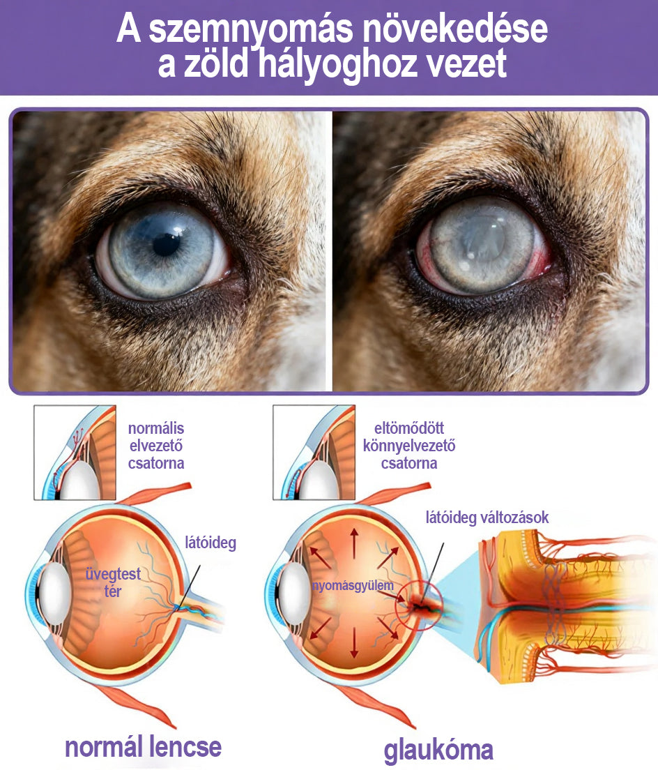 👩‍⚕️ Tainun® EyeRelief oční kapky pro mazlíčky ✅ Schváleno v CE | Rychlá úleva při zánětu spojivek, suchých očích, šedém zákalu a keratitidě 🐶🐱