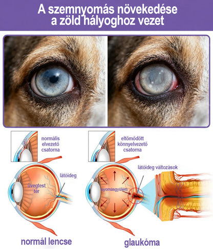 👩‍⚕️ Tainun® EyeRelief oční kapky pro mazlíčky ✅ Schváleno v CE | Rychlá úleva při zánětu spojivek, suchých očích, šedém zákalu a keratitidě 🐶🐱