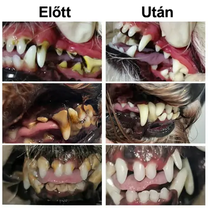 [🇭🇺 Hivatalos Áruház] Healrize® Állati Fogászati és Emésztési Egészséget Támogató Orális Folyadék – Friss lehelet, fogkő eltávolítása és ínyregeneráció támogatása, a fogak stabilizálása (macskáknak és kutyáknak) – Ma 70% kedvezmény! 🦷