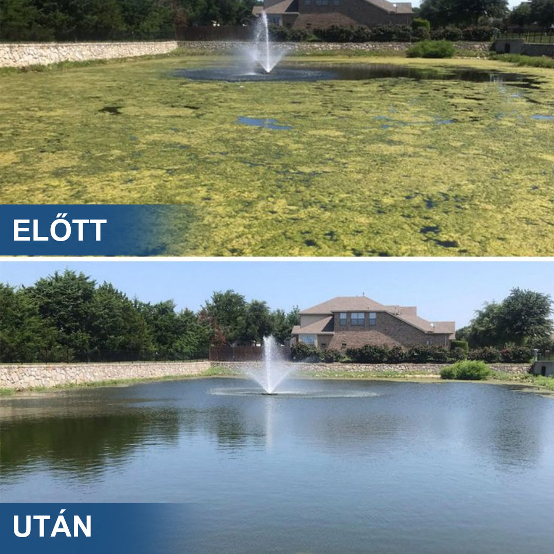 ✨ AgroVitae® algaeltávolító szer — Kettős hatású, fejlett megoldás az algák gyors eltávolítására és a víz tökéletes egyensúlyának helyreállítására 🧬🐟💧