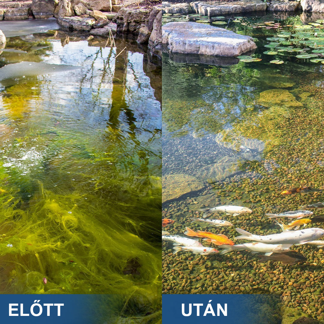 ✨ AgroVitae® algaeltávolító szer — Kettős hatású, fejlett megoldás az algák gyors eltávolítására és a víz tökéletes egyensúlyának helyreállítására 🧬🐟💧