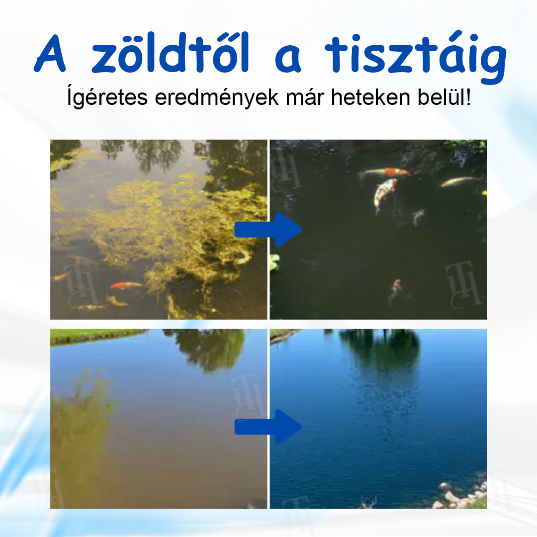 ✨ AgroVitae® algaeltávolító szer — Kettős hatású, fejlett megoldás az algák gyors eltávolítására és a víz tökéletes egyensúlyának helyreállítására 🧬🐟💧