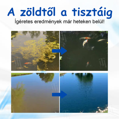 ✨ AgroVitae® algaeltávolító szer — Kettős hatású, fejlett megoldás az algák gyors eltávolítására és a víz tökéletes egyensúlyának helyreállítására 🧬🐟💧