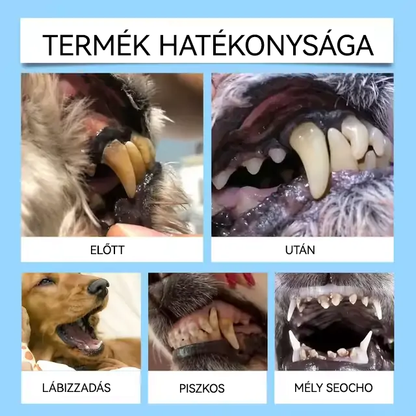 [🇭🇺 Hivatalos Áruház] Healrize® Állati Fogászati és Emésztési Egészséget Támogató Orális Folyadék – Friss lehelet, fogkő eltávolítása és ínyregeneráció támogatása, a fogak stabilizálása (macskáknak és kutyáknak) – Ma 70% kedvezmény! 🦷