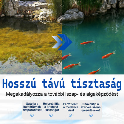 ✨ AgroVitae® algaeltávolító szer — Kettős hatású, fejlett megoldás az algák gyors eltávolítására és a víz tökéletes egyensúlyának helyreállítására 🧬🐟💧