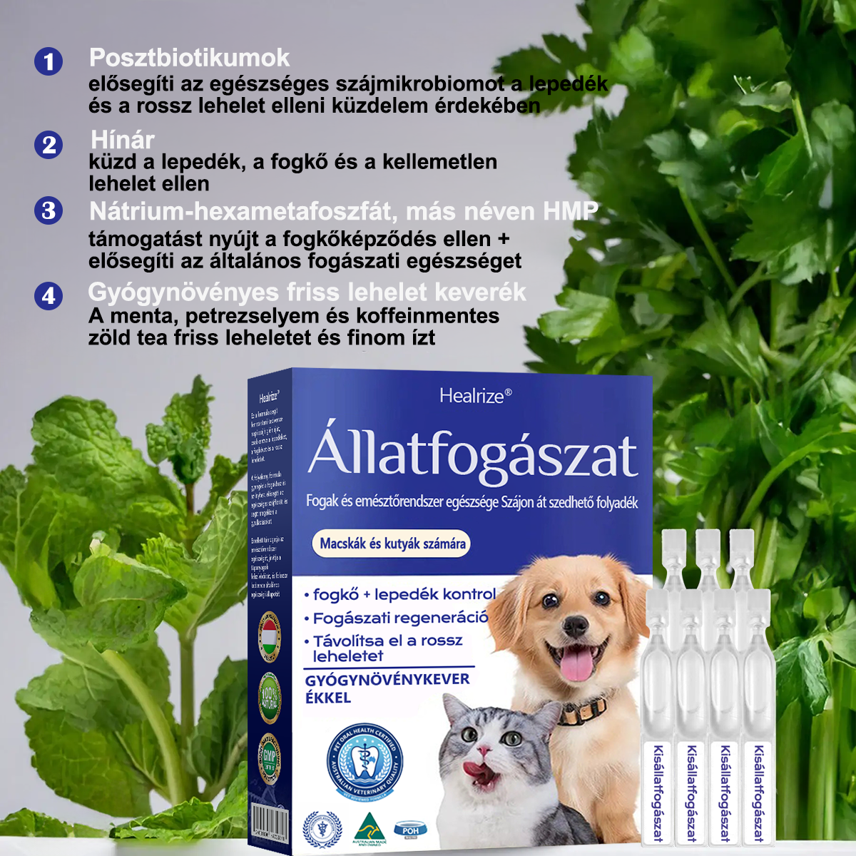 [🇭🇺 Hivatalos Áruház] Healrize® Állati Fogászati és Emésztési Egészséget Támogató Orális Folyadék – Friss lehelet, fogkő eltávolítása és ínyregeneráció támogatása, a fogak stabilizálása (macskáknak és kutyáknak) – Ma 70% kedvezmény! 🦷