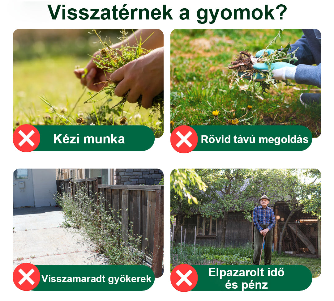 AEXZR® 2 az 1-ben maximális erejű gyomirtó – Gyors gyomirtás akár 6 órán belül ⚡ | Kettős hatás glifozát nélkül 🌿